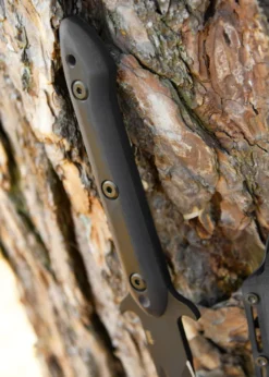 APOC Survival Cutlass
