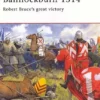 Bannockburn 1314 - Robert Bruce's great victory, CAM102