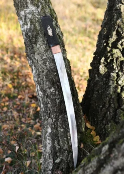 BattleBlades, Gokudo Aikuchi