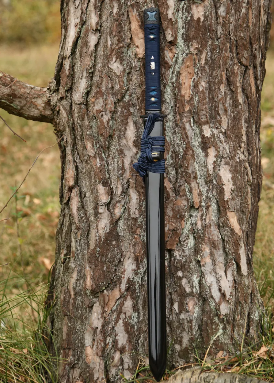 BattleBlades, Kage No Senshi Tsurugi Ken