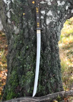 BattleBlades, Senshi Erai Hito No Wakizashi