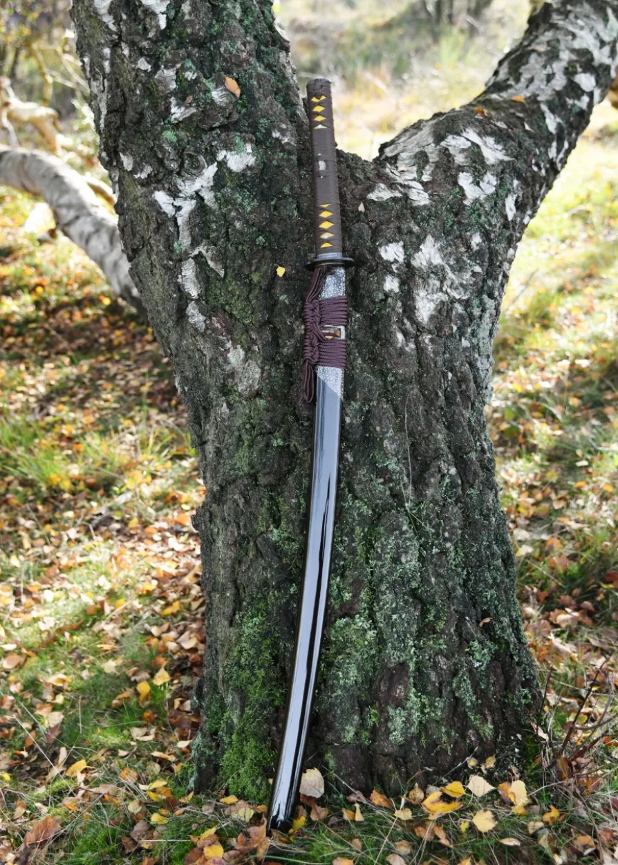 BattleBlades, Senshi Erai Hito No Katana