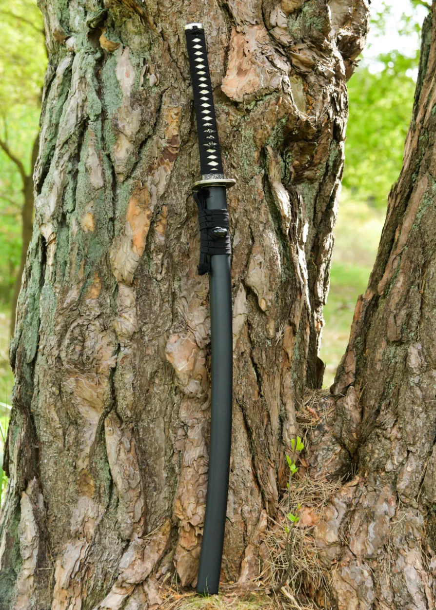 Dragon King Kawanakajima Katana