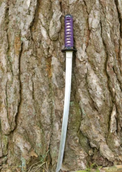 Dragon King Lotus Seed Wakizashi