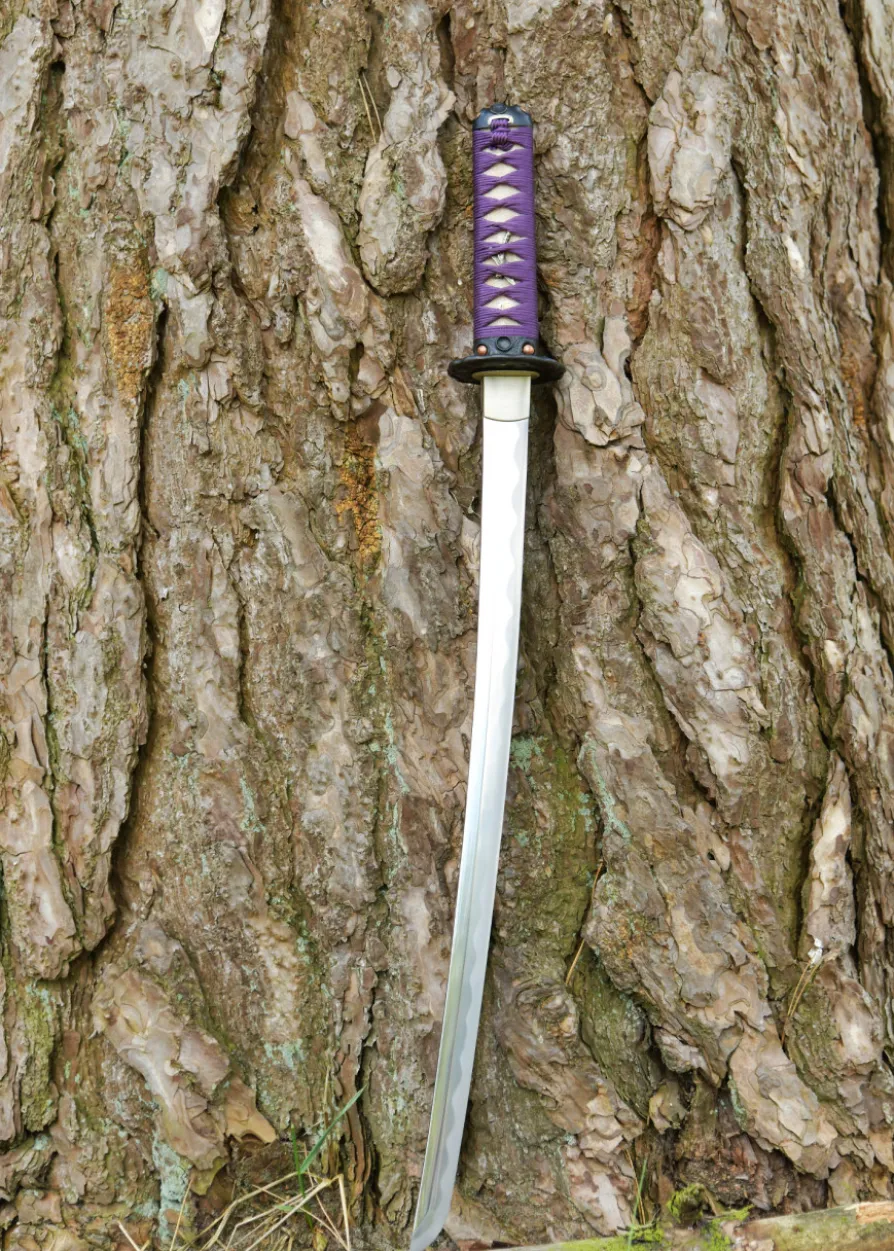 Dragon King Lotus Seed Wakizashi