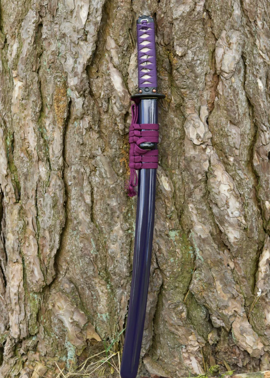 Dragon King Lotus Seed Wakizashi