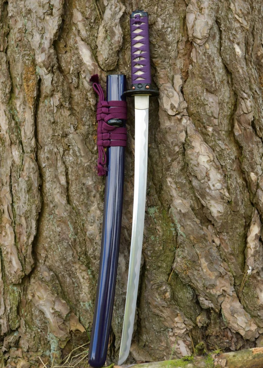 Dragon King Lotus Seed Wakizashi