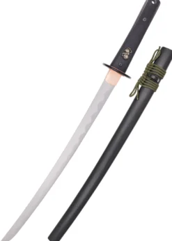 Dragon King Modern Wakizashi