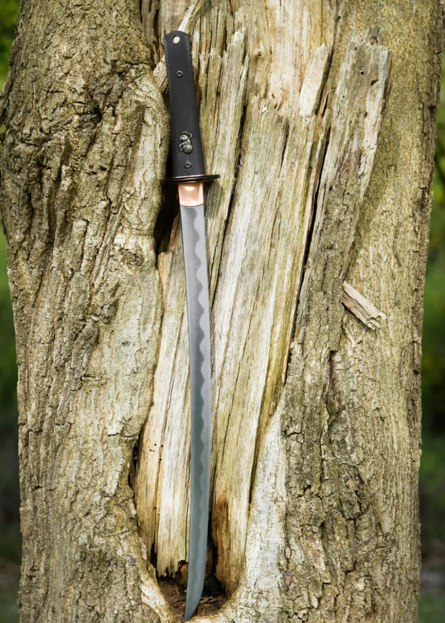 Dragon King Modern Wakizashi