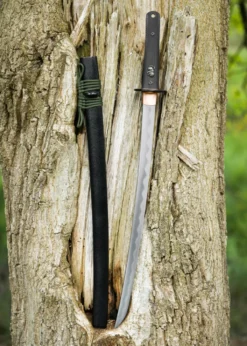 Dragon King Modern Wakizashi
