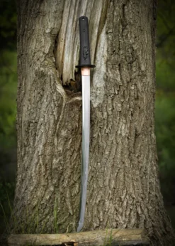 Dragon King Modern Wakizashi, Bo-Hi