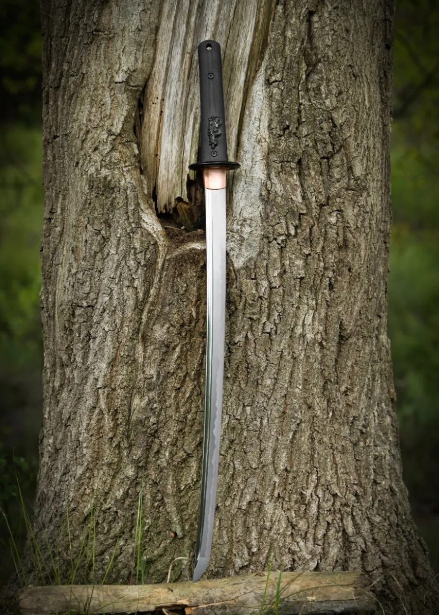 Dragon King Modern Wakizashi, Bo-Hi