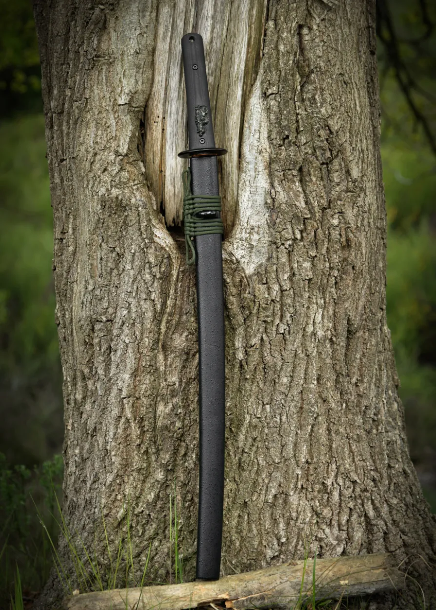 Dragon King Modern Wakizashi, Bo-Hi