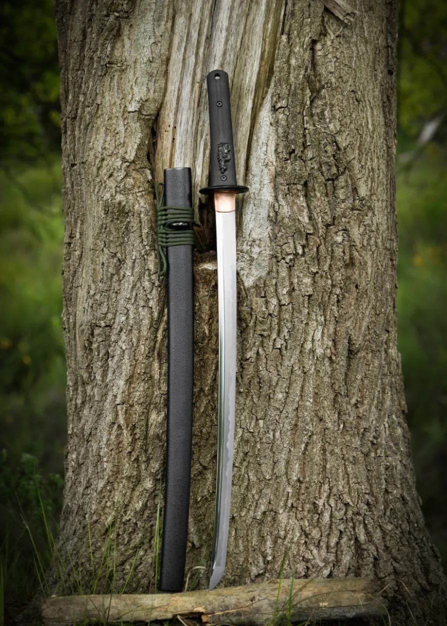 Dragon King Modern Wakizashi, Bo-Hi