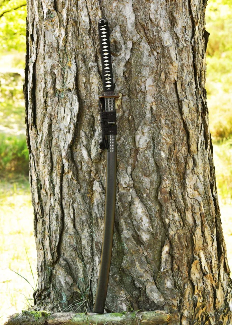 Dragon King Pine Crane Katana