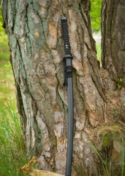 Dragon King Shi Katana