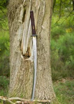 Dragon King Shi Shi Botan Katana (Kinryu Katana)