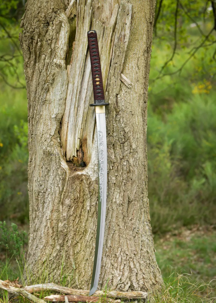 Dragon King Shi Shi Botan Katana (Kinryu Katana)
