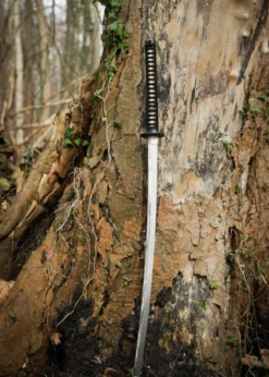 Dragon King Winter Katana