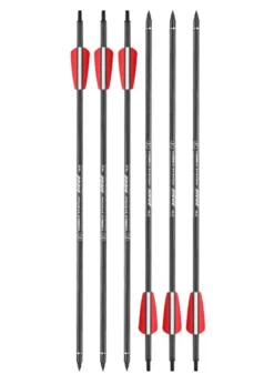 6er Pack - 15,5 Zoll Pfeil für EK Archery R-Serie Siege