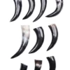 10er Paket Trinkhörner, Naturfarbe Schwarz und Weiß, mit Mängeln