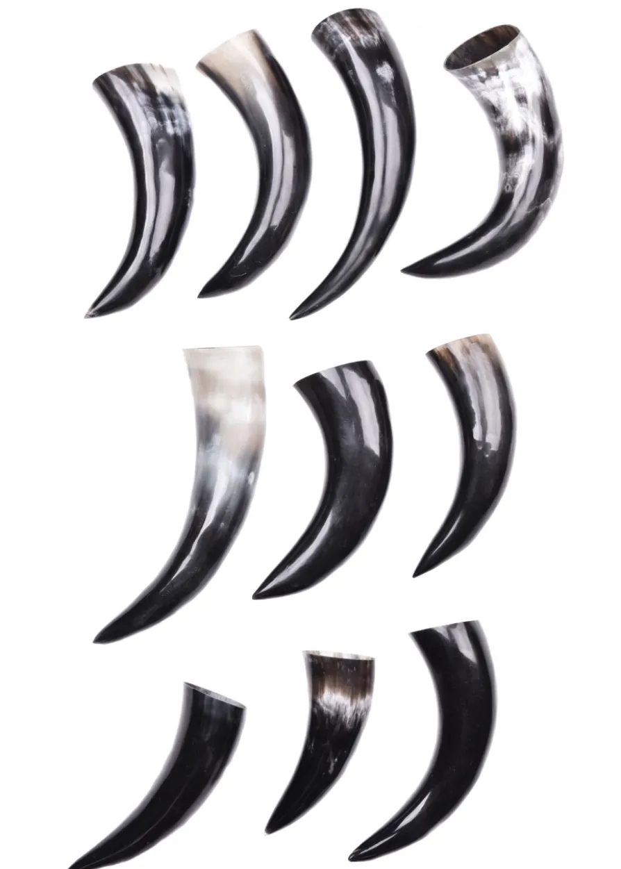 10er Paket Trinkhörner, Naturfarbe Schwarz und Weiß, mit Mängeln