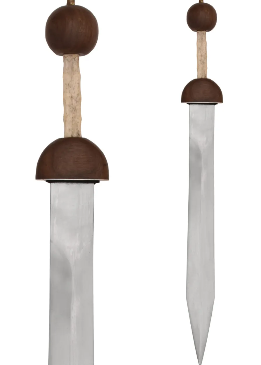 Gladius, Schwert der römischen Legionäre mit Scheide