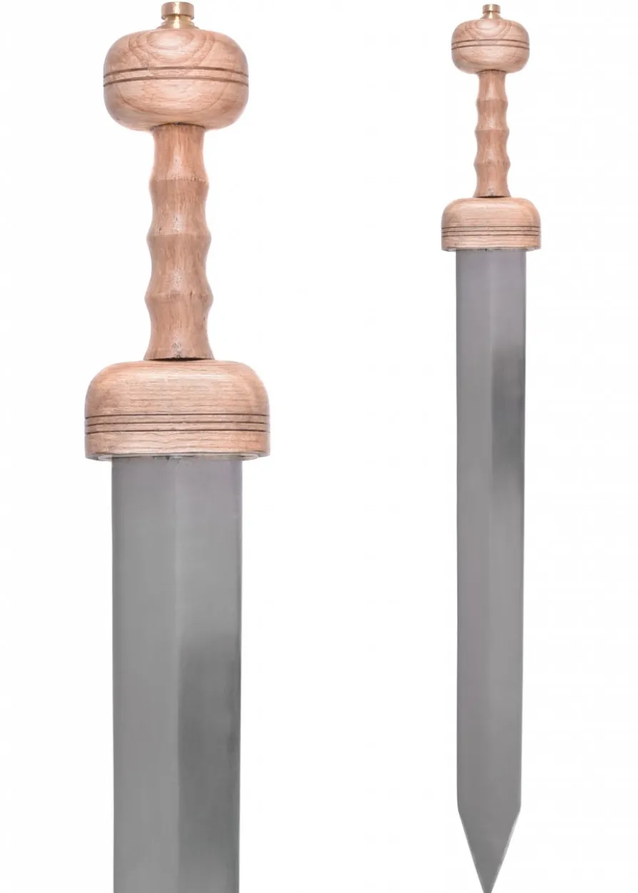 Gladius Schwert Typ Pompeji, mit Schwertscheide