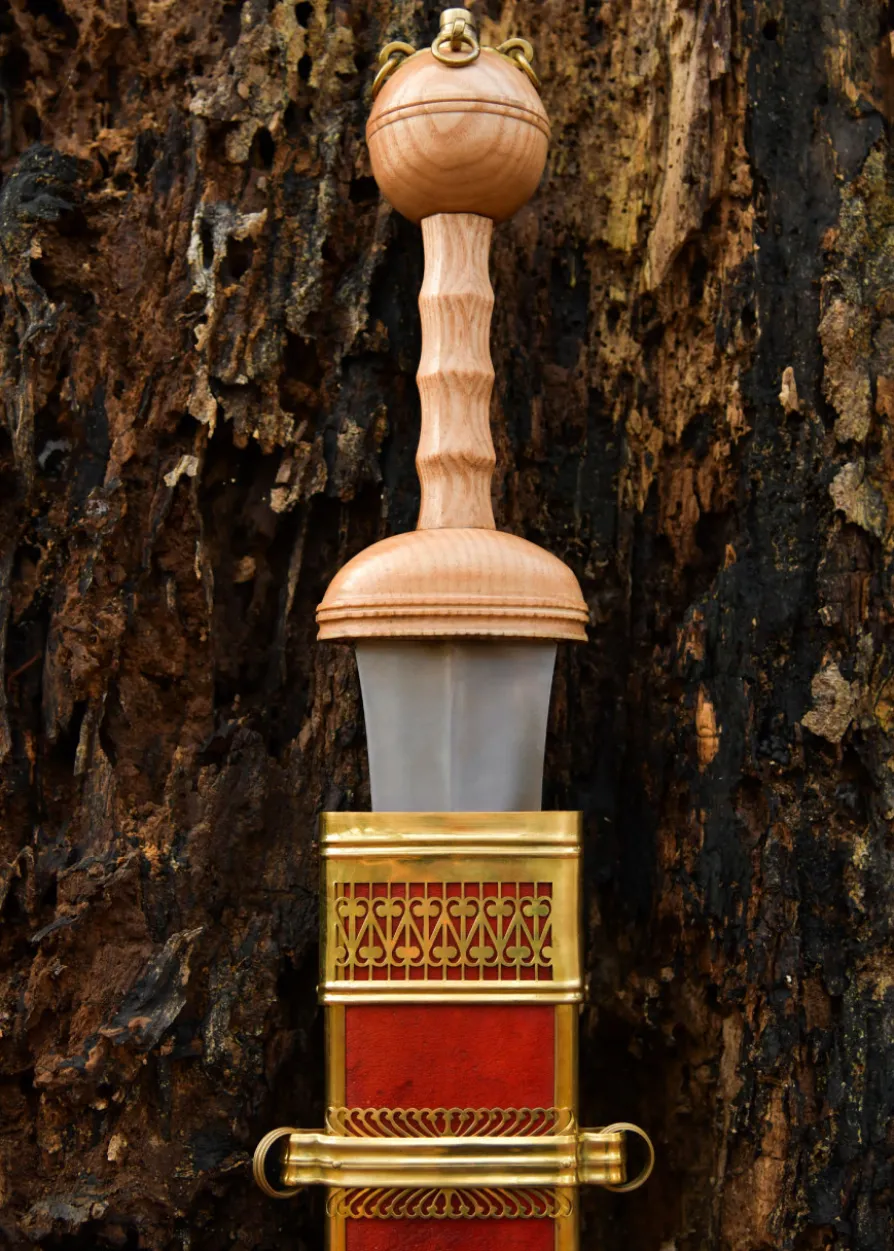 Gladius von Dubravica, Römisches Schwert mit Scheide, 1. Jahrhundert