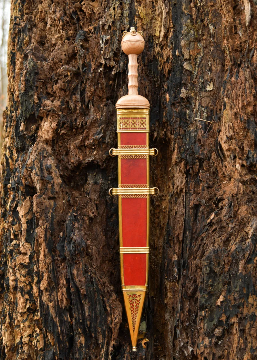 Gladius von Dubravica, Römisches Schwert mit Scheide, 1. Jahrhundert