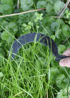 Handgeschmiedete Mittelalterliche Sichel aus Stahl