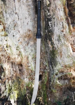 Hanwei Banshee Schwert