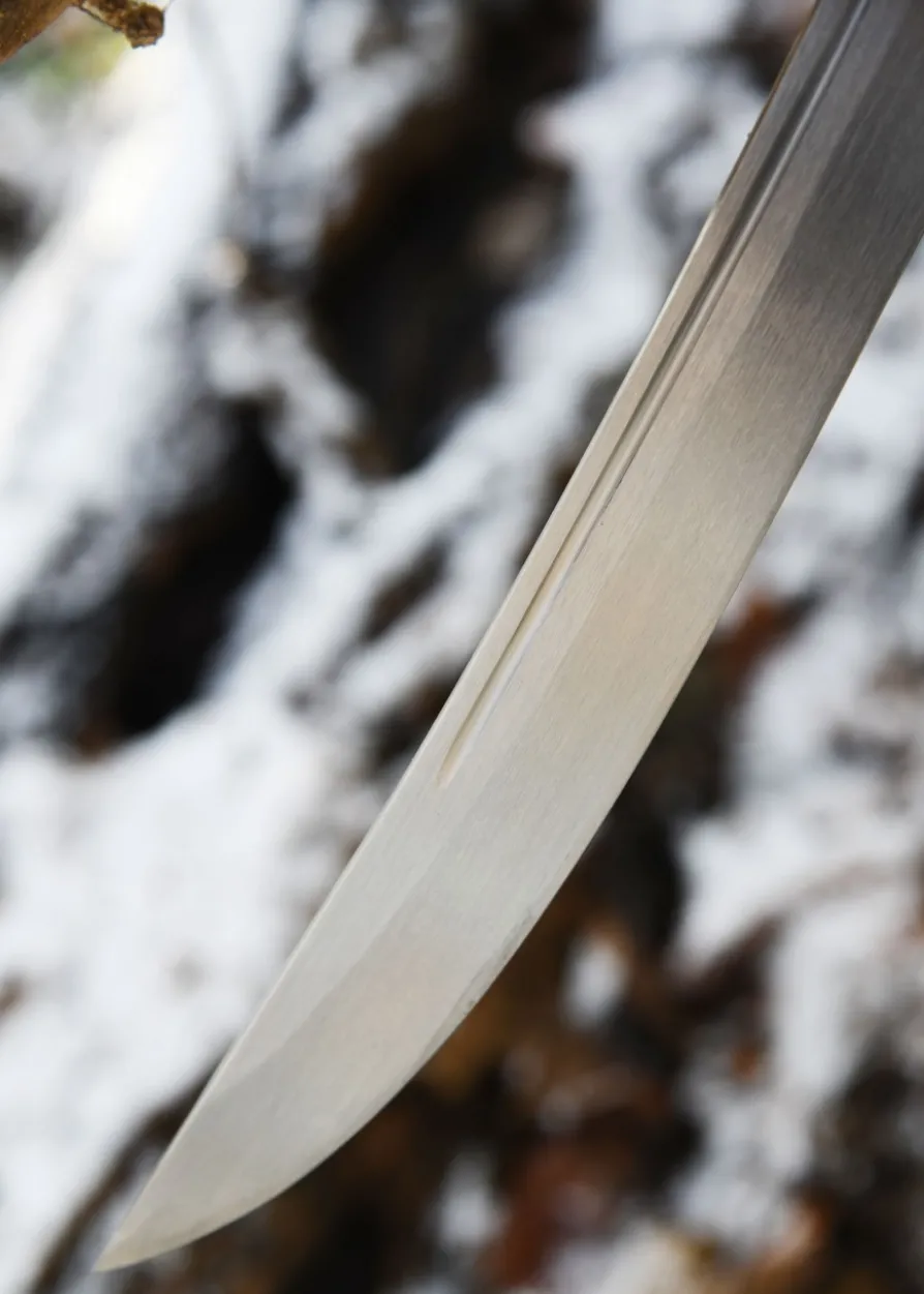 Hanwei Banshee Schwert