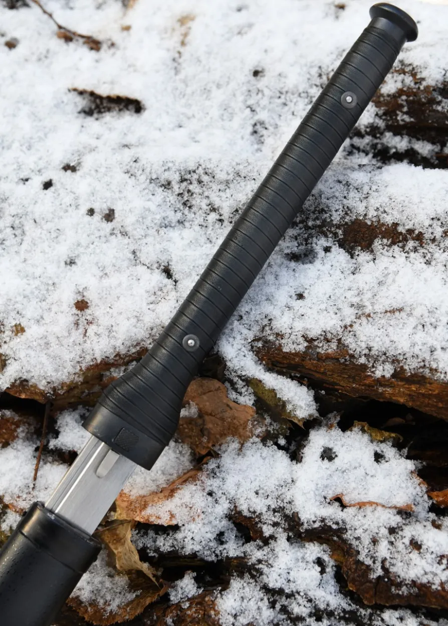 Hanwei Banshee Schwert