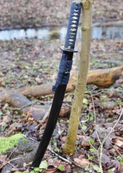 Hanwei Kaeru (Frosch) Wakizashi