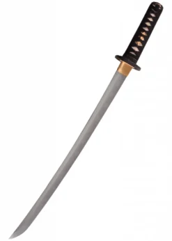 Hanwei Lion Dog Wakizashi