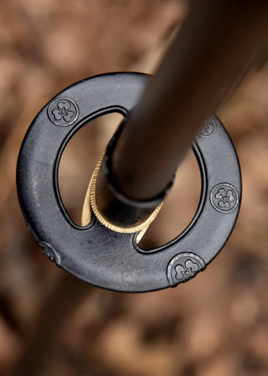 Hanwei Naginata, Paul Chen
