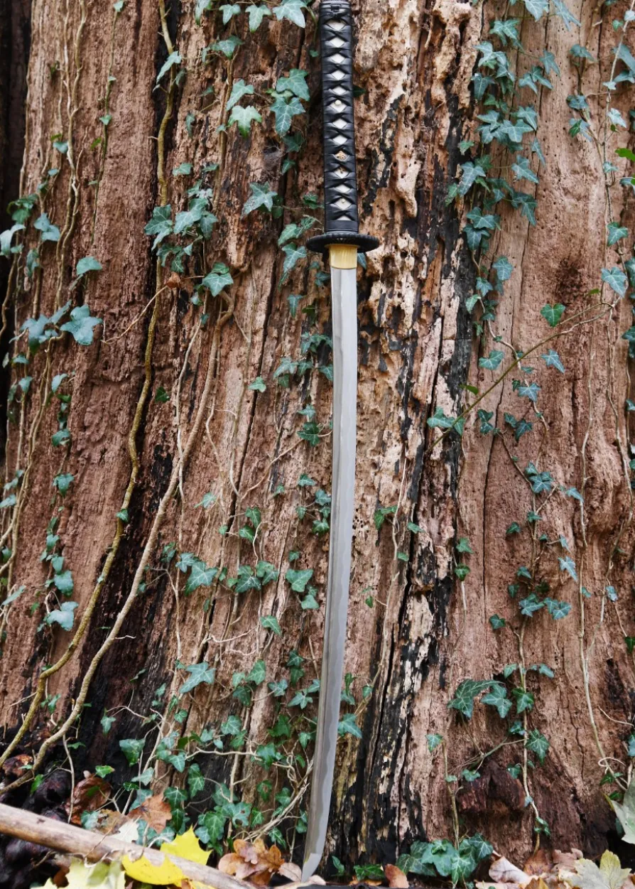 Hanwei Practical Plus Katana
