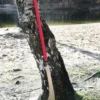 Hanwei Pudao, Chinesische Stangenwaffe