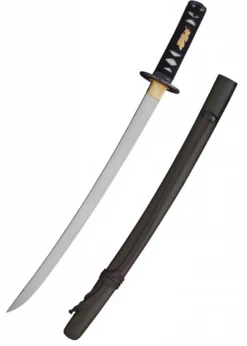 Hanwei Raptor Wakizashi