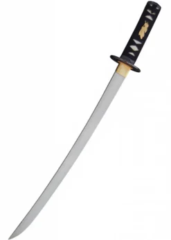 Hanwei Raptor Wakizashi