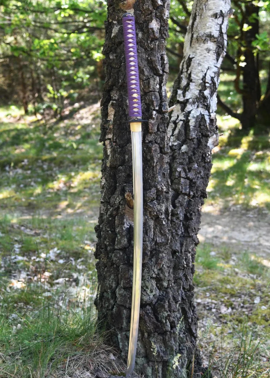 Hanwei Tonbo Katana