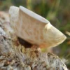 Holzschale mit Griffen, handgehauen, ca. 16 x 10 cm