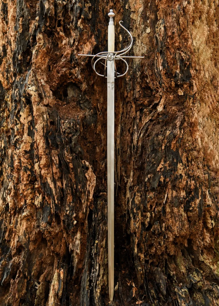 Italienischer Rapier mit geschwungenem Parier, 16. Jh.