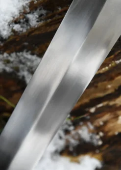Keltisches Langschwert mit Scheide