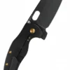 Kizer Knives SHEEPDOG C01C XL, Titan, schwarze Klinge, Taschenmesser