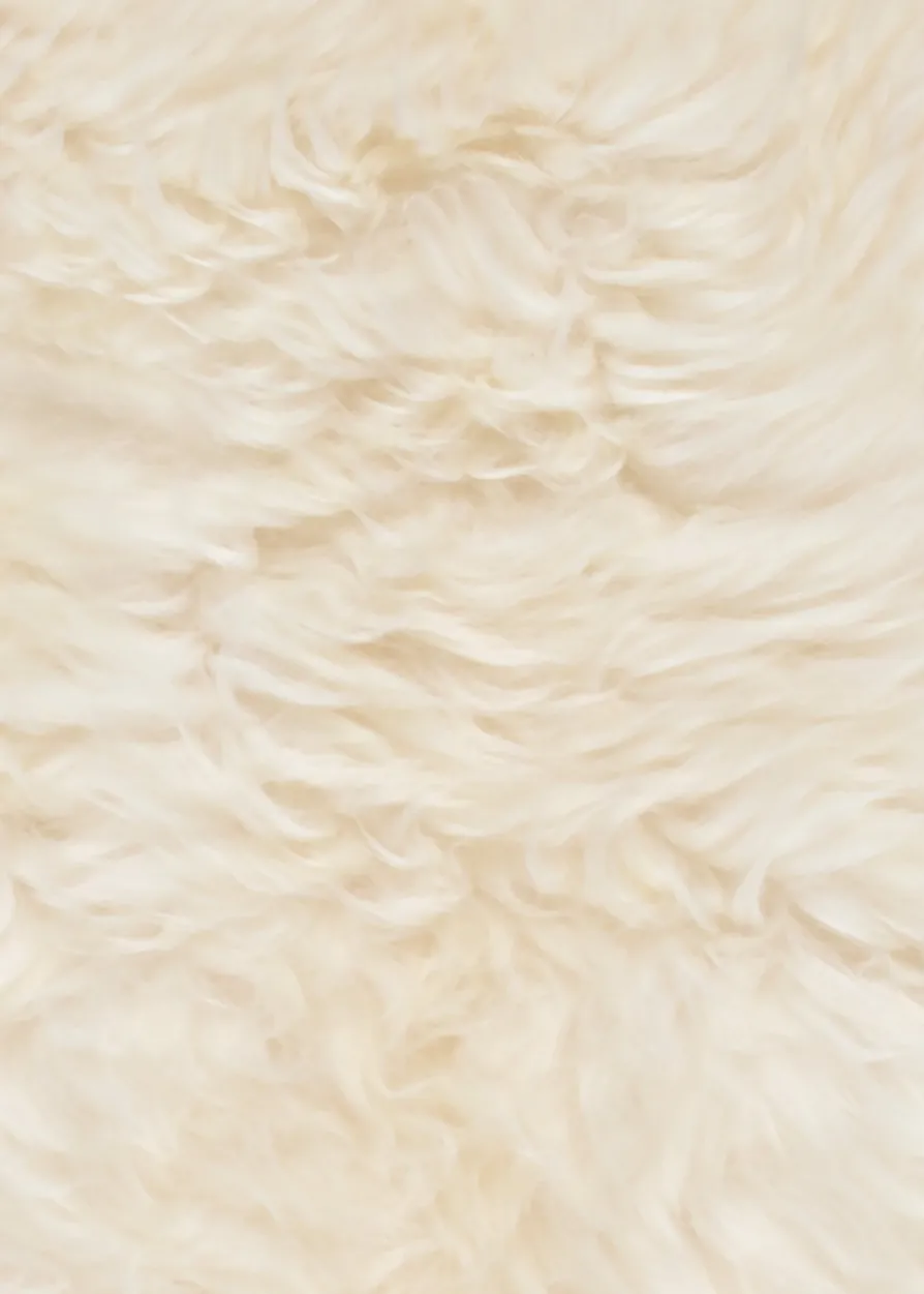 Lammfell, naturweiß, ca. 80 cm Öko-Tex Standard 100 - Schaffell