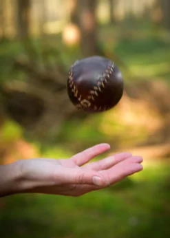 Leder Ball, braun, verschiedene Größen