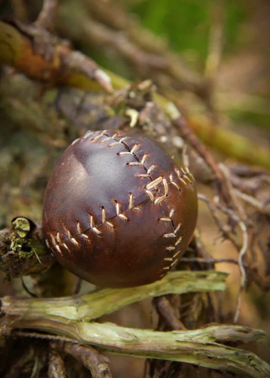 Leder Ball, braun, verschiedene Größen