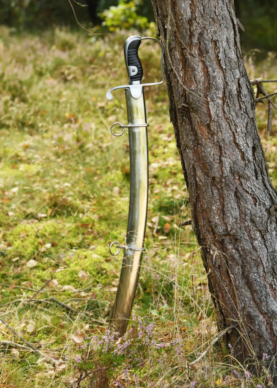 Leichter Kavalleriesäbel von 1796 mit Scheide